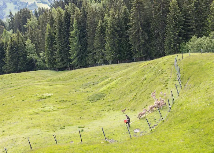 Puitalm - Natur I Apart I Hotel